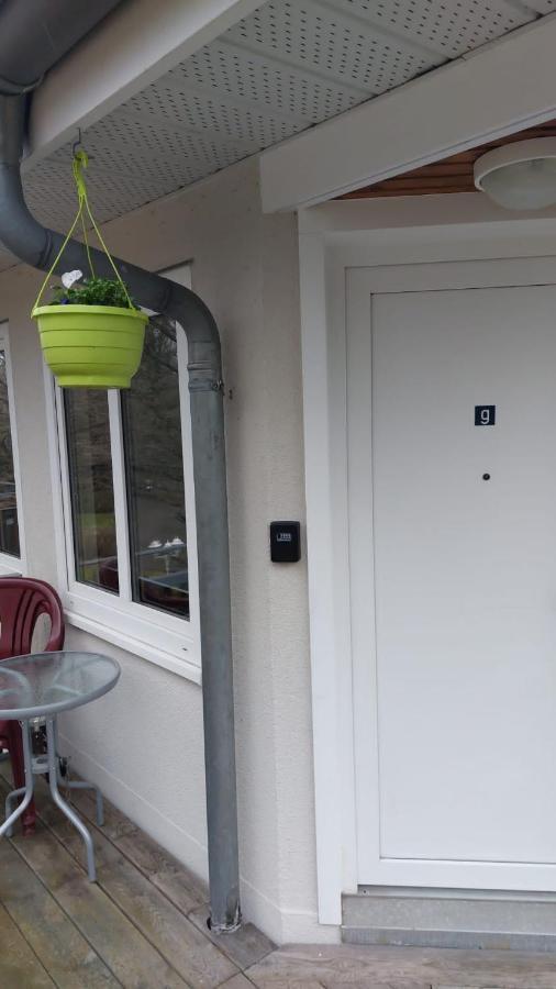 Ferienwohnung Am Stadtwald Freiberg Exterior foto